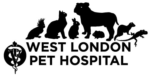 West London Pet Hospital