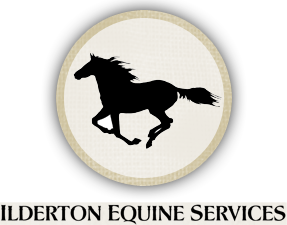 Ilderton Equine Services